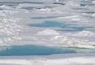 Norway, Svalbard. Pools of meltwater fill depressions in pack ice. Art Print